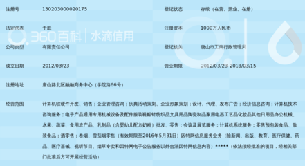 專業(yè)信息賦能，助力企業(yè)騰飛——唐山華人信息科技有限責(zé)任公司的信息咨詢服務(wù)